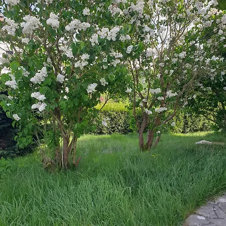 Au Domaine Cru Savignies