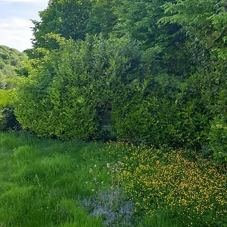 Gæstehus Au Domaine Cru 3*